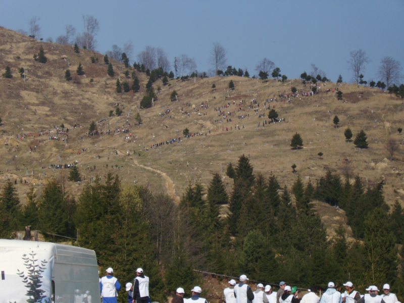 Comanesti 04 april 2009