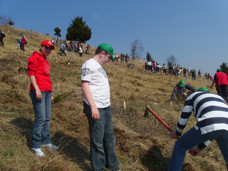 Groene code april 2009