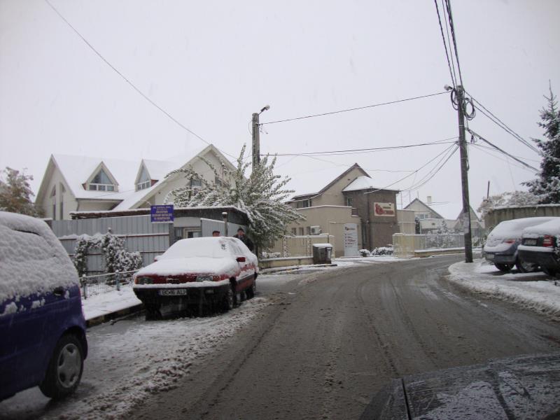 DSC00179
