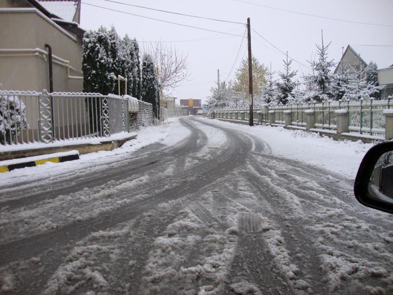 DSC00181